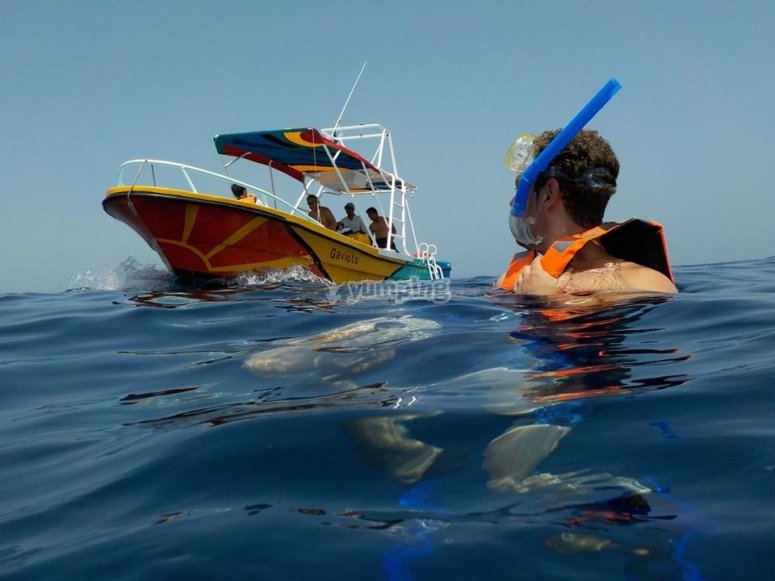 Holbox Whale Shark Tours, Cancún (Quintana Roo) 2023